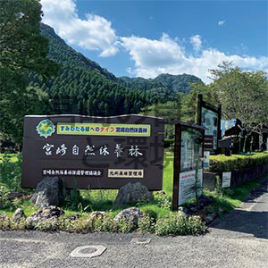宮崎自然休養林 ～加江田渓谷の魅力～