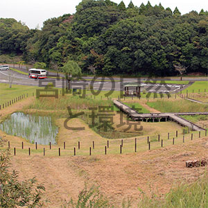 宮崎市萩の台公園「トンボ池」のビオトープづくり