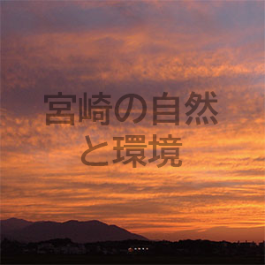 秋の夕焼け鎌をとげ