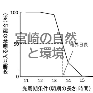 分布を拡大している昆虫の生活史研究の意義