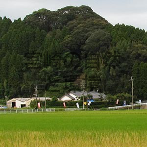 田舎暮らしと鳥たちと～九州山地の山裾に暮らして