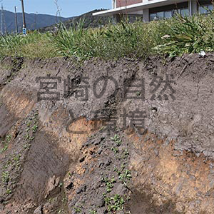 都農ワインのテロワールについての地質学的検討