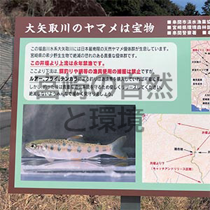 日本最南源の在来ヤマメを次世代に残すためのシンポジウム－九州渓流魚シンポジウム 2022 in 串間－
