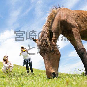 都井岬の野生馬と串間エコツーリズム