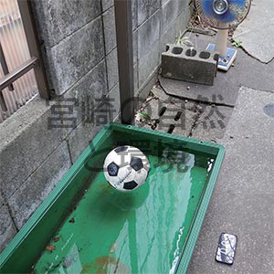 サッカーボ－ル漂流記