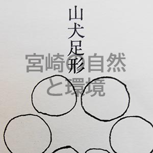 オオカミの生息を江戸時代の記録に探る