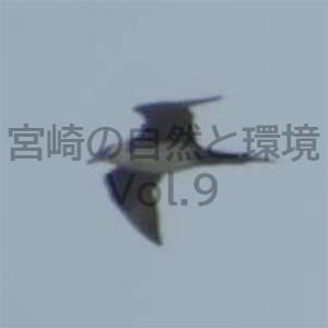 宮崎県内におけるクロトウゾクカモメStercorarius parasiticus（Linnaeus, 1758）の初記録