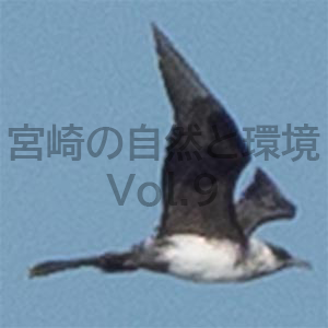 宮崎県内におけるトウゾクカモメStercorarius pomarinus（Temminck, 1815）の初記録