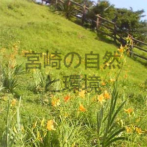 都井岬における外来植物の増加に及ぼす御崎馬の排糞による種子散布の影響