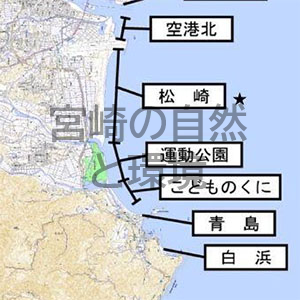宮崎市松崎地区におけるアカウミガメ産卵集団のミトコンドリアDNA多型解析