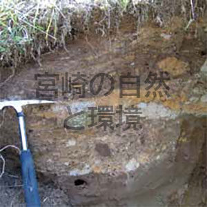 シラス分布域縁辺部(宮崎市倉岡)における報告例のない斜面崩壊形態